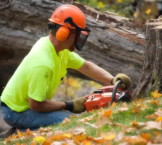 tree services Maxton